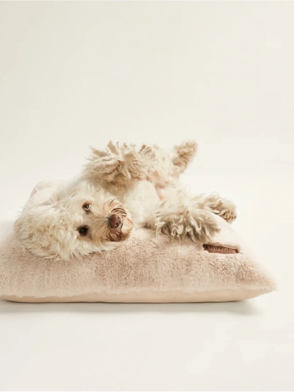 Unhide NEW Floof Pillow Pet Bed $179 MSRP